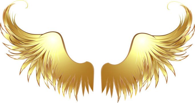 First golden wings of angels