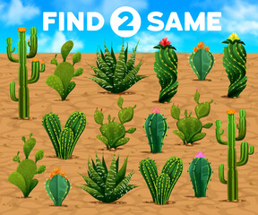 Poster - Find two same mexican prickly cactus succulents