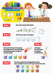 Poster - Color Changing Flowers Science Experiment