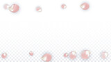 Fototapeta Sypialnia - Pink Vector Realistic Petals Falling on Transparent Background.  Spring Romantic Flowers Illustration. Flying Petals. Sakura Spa Design. Blossom Confetti. Design Elements for Wedding Decoration.