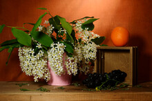 Floral Still Life - Branches Of Flowering Bird Cherry, Bunch Of Grapes And Tangerine On An Orange Background