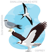 Cute Bird Osprey Kite Set Cartoon Vector