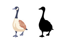 Canada Geese. Two Birds Are Moving Forward. The Black Silhouette And The Color Vintage Style Bird. Vector Illustration On A White Background.