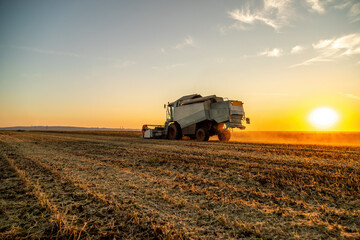 Wall Mural - Harvest time, a farmer in a combine harvester at work in a soybean agricultural farm field