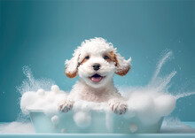 Cute Puppy Dog In Bathtub , Pets Cleaning , Generative Ai