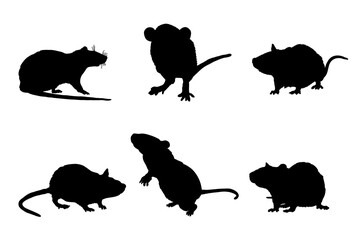 Wall Mural - Set of rat silhouettes vector design