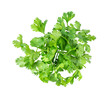 Coriander leaves isolated on transparent png