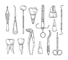 Hand Drawn Stomatology Attributes. Professional Dental Tools, Tooth With Root And Dental Implant Vintage Vector Illustration Set