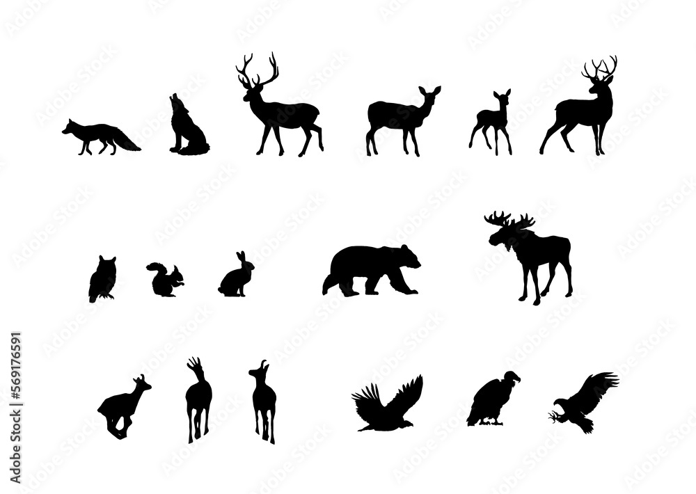 Silhouettes of woodland animals isolated on white background. Deer, doe ...