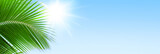 Fototapeta Konie - Palm tree leaf blue sky sun background frame, green palm branch corner border, tropical island sea beach banner, summer holidays template, vacation design, travel pattern, tourism backdrop, copy space