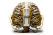 © ADDICTIVE STOCK - Brain with system block and wires