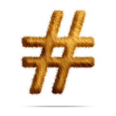 Poster - Hashtag symbol or icon design with golden fur texture