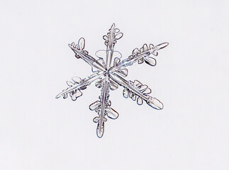 closeup of a snowflake, macro, winter