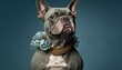  a dog with a collar and a flower on it's collar is looking up at the camera while wearing a collar with a flower on it's collar.  generative ai