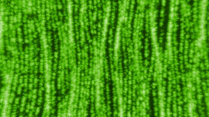 Poster - Glowing matrix lines. Motion. Bright moving lines in matrix space. Live vertical electrical lines moving in cyberspace