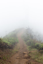 Thick Fog Obscuring A Trail On A Mountain Ridge In Maui, Hawaii.