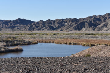 Clear Day at Imperial Wildlife Refuge in Arizona