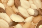 Fototapeta Kwiaty -  a bunch of nuts that are brown and white with brown tips on top of each one of the nuts is brown and white with brown tips on the top of the nuts.  generative ai