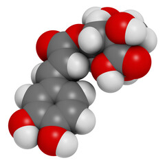 Wall Mural - Neochlorogenic acid molecule. 3D rendering.