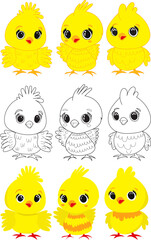 Sticker - set of cute cartoon chick on white background, vector