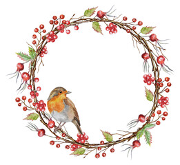 Watercolor wreath with rosehip, berries, dry branches, and a robin on a transparent background. Autumn composition. Hand-painted wreath with botany elements.