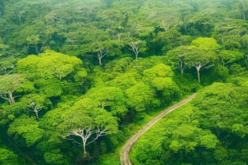aerial view of forestry green perennial tree in tropical rainforest. carbon footprint and decarbonis