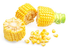 Cuts Of Maize Cob Or Corn Cob Isolated On White Background.