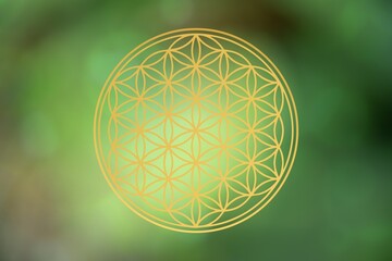 Wall Mural - flower of life on atmospheric background