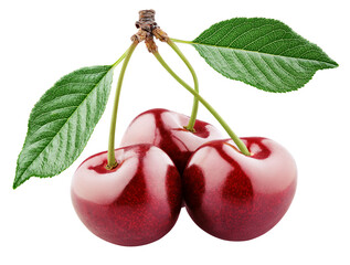 Wall Mural - Cherry with stem and leaves isolated on transparent background. Full Depth of Field