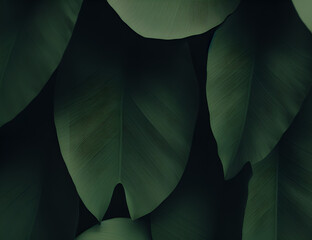 Wall Mural - dark green leaves on dark background - generative ai