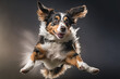 Funny dog mid-air shake in slow motion, generative ai