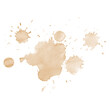 canvas print picture - Coffee stains isolated on a transparent background. Royalty high-quality free stock PNG image of Coffee and Tea Stains Left by Cup Bottoms. Round coffee stain isolated, cafe stain fleck drink beverage