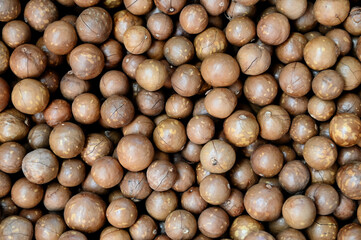 Canvas Print - macadamia nuts texture background, fresh natural shelled raw macadamia nuts in a full frame, close up pile of roasted macadamia nut
