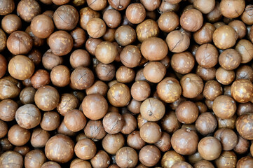 Poster - macadamia nuts texture background, fresh natural shelled raw macadamia nuts in a full frame, close up pile of roasted macadamia nut