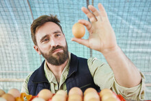 Farm, Agriculture And Man With Egg In Hand For Inspection, Growth Production And Food Industry. Poultry Farming, Organic And Farmer With Chicken Eggs For Logistics, Protein Market And Quality Control