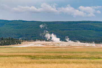 Canvas Print - Clepsydra geyser on the Fountain Paint Pot Trail in  National Park.