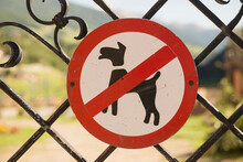 No Dogs Allowed Sign On Gate, Carinthia, Austria