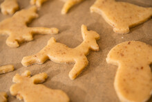 Close-up Of Cut Out Dough Reindeer Shaped Cookies During Preparing Cookies, Munich, Bavaria, Germany