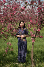 Asian Girl In Blue Vintage Dress Standing In Blossoming Apple Tree Orchard With Pink Flowers