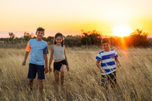 Three Little Friends In A Field In Their Summer Vacation At Sunset