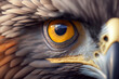 Close-up of a eagle eye - AI generative