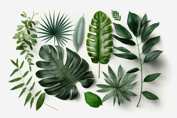  Tropical Exotic Luxury leaves isolated on white background. Graphic elements for advertising and creativity.Ai generated