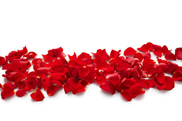 Wall Mural - Valentine day petals of red roses isolated on white background