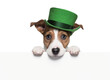 Cute dog jack Russel terrier with green hat holding a blank sign. PNG with transparency. Generative Ai
