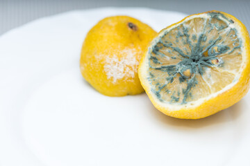 Macro close up of mildewed musty unfresh lemon cut in two parts with green mold on white plate