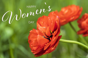 Poster - Postcard for march 8. Beautiful flowers in nature with inscription happy women's day