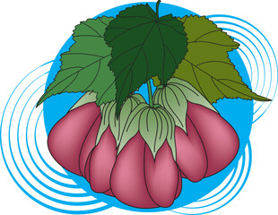 Wall Mural - Illustration of Abutilon pictum flower with leaves on blue circle background.