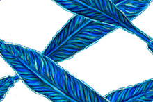 Bird Of Paradise Seamless Pattern For Swimwear. Blue And Indigo Strelitzia Feminine Exotic Design.  Tropical Leaf Background. Large Polynesia Floral Print. Bird-of-Paradise Spring-Summer Tile