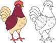rooster cartoon coloring book on white background vector