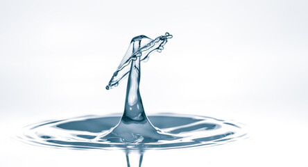 Wall Mural - crown of water splash at the collision of two drops of water abstract background
